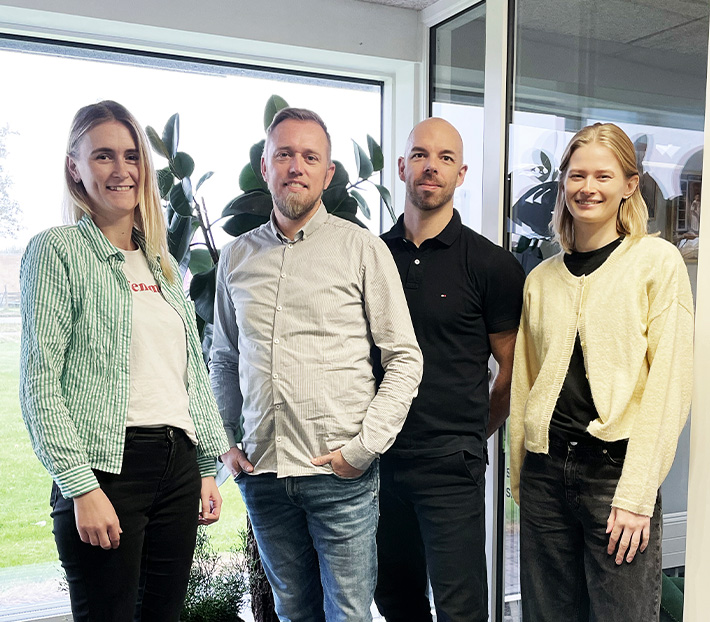 Dannebrogsvindue hulmål